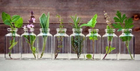 Importance of Essential Oils in Yoga Practice