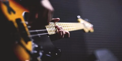 guitarist