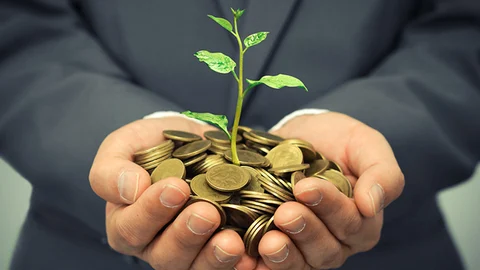 Green business ideas: being eco-minded is financially rewarding
