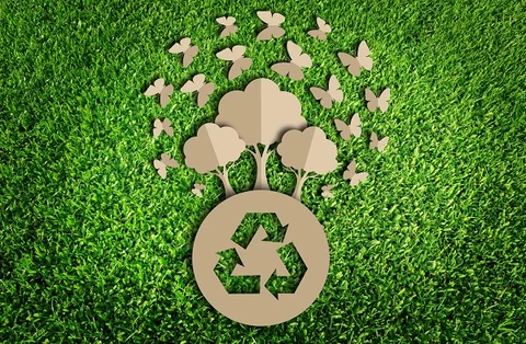 Green business ideas: being eco-minded is financially rewarding