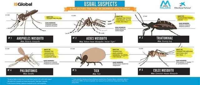What you should know about priority arthropod-borne disease diagnostic testing
