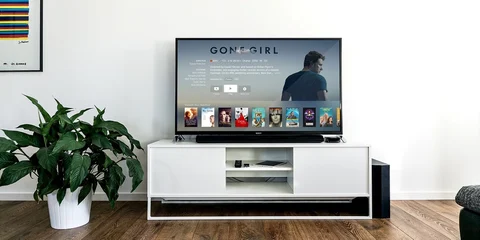Television