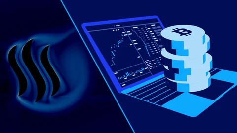 Bitcoin Market