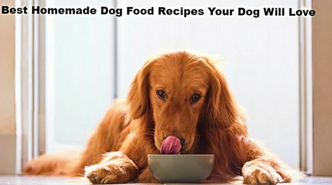 5 Best Homemade Dog Food Recipes Your Dog Will Love