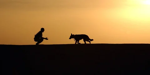 Choosing a Breed for a Canine ESA