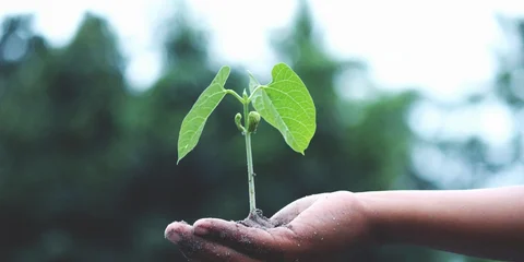 Business Growth