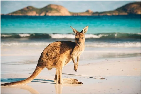 <b>Australia</b>