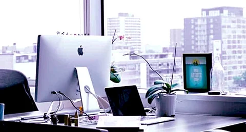 5 Easy Ways to Make Your Office Eco-Friendly