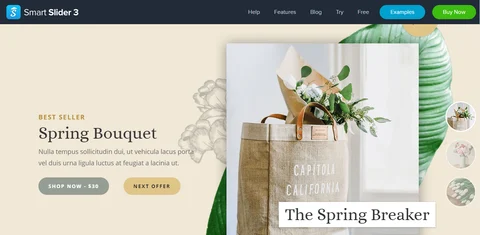 8 Stunning Content Slider Examples
