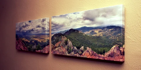 Canvas Prints