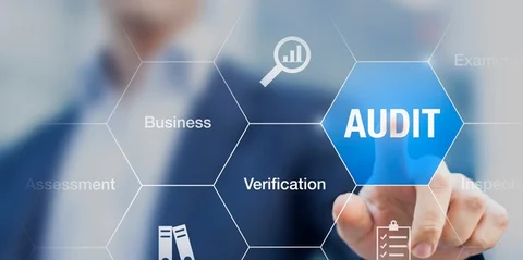 Audit Software