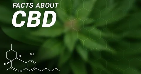23 Must Know Facts About CBD Oil