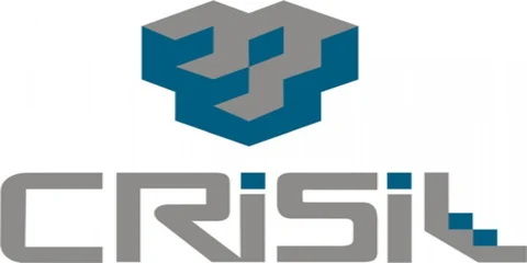 Factors that Affect CRISIL Rating