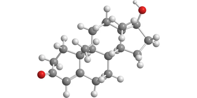 Testosterone: It is not just a man’s thing