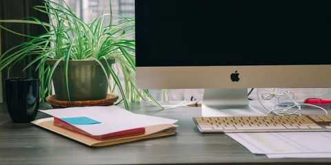 Can You Build a Professional Document Library in WordPress?