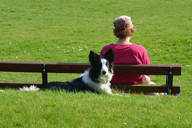 Can Service Dogs Help People With Anxiety Disorders?