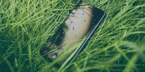 What to Do When You Lose Your iPhone