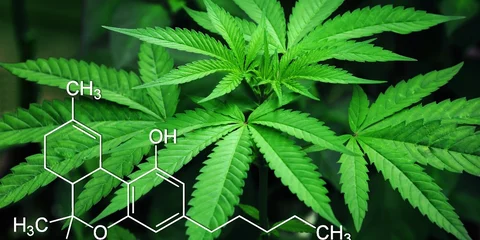 How The New Farm Bill will expand the CBD market