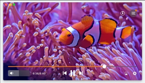 The Best video player for Mac