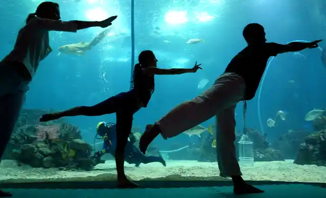 Yoga students stretch in front of fish in the Oceanarium of Lisbon while diver works on cleaning maintenance. (Photo: Reuters)