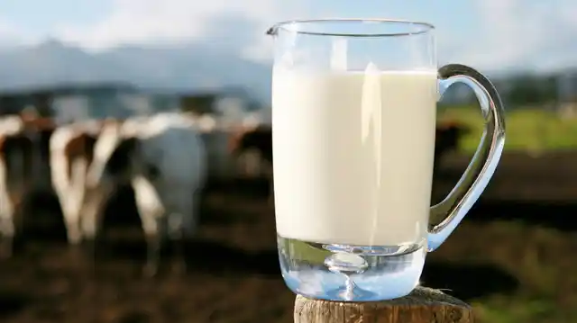 Milk, and all dairy is good for you.