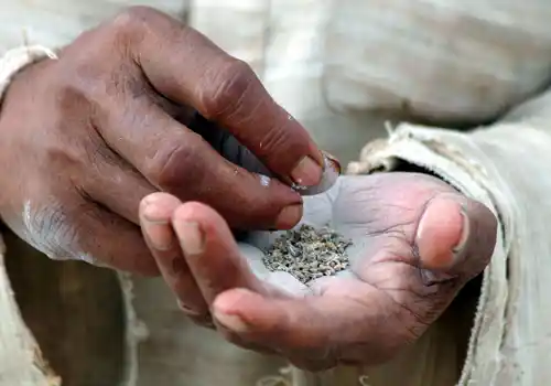By 2020, 1.5 million people will die in India annually from tobacco use (Photo: PTI)