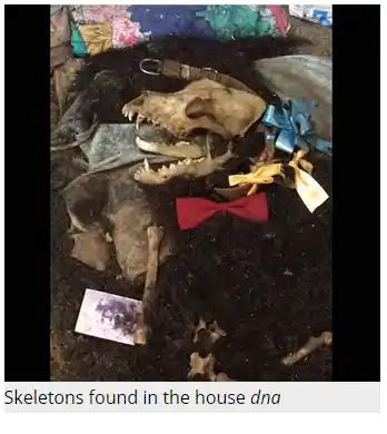 Skeletons found in the De household. (Courtesy:<i> </i>Screenshot of<i> <a href="http://www.dnaindia.com/">DNA India</a></i>’s article <a href="http://www.dnaindia.com/india/report-kolkata-s-house-of-skeletons-man-found-living-with-corpse-sister-and-dogs-breaks-silence-2096024">“Kolkata’s house of skeletons: Man found living with sister’s corpse and dead dogs breaks silence”</a>)