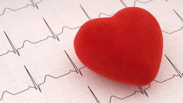 Get a thorough cholesterol checkup done. 