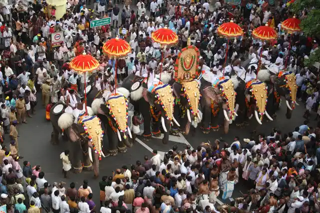 Elephants in a procession at Thrissur Pooram Festival, Kerala. (Photo: iStock)