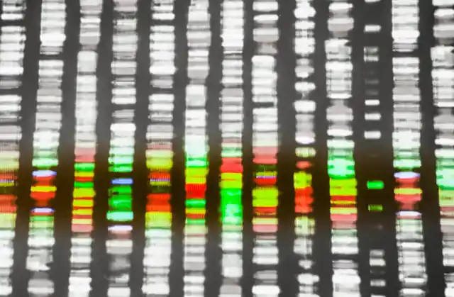 Picture of a DNA sequence on a sample being tested for a match. (Photo: iStockphoto)
