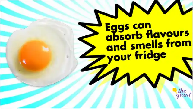 Egg-shells have more than 17,000 pores. Keeping them next to last night’s salmon may yield a fishy-tasting omelet the next morning (Photo: The Quint)