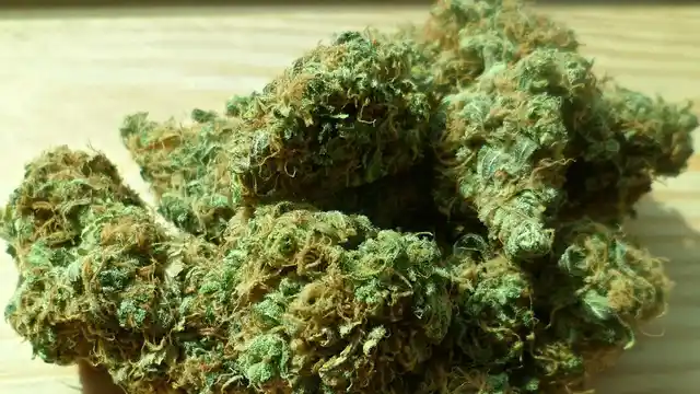 With police keeping strict vigil on the peddlers, it looks like the ganja consumers themselves are turning to peddling in attempt to exploit the void.