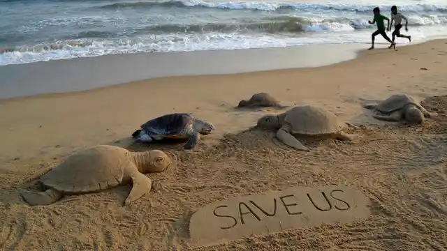 Sand art next to the body of an Olive Ridley turtle. (Photo: Reuters)