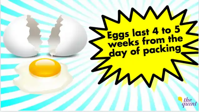 They have an incredibly long shelf life. Egg-cellent! (Photo: The Quint)