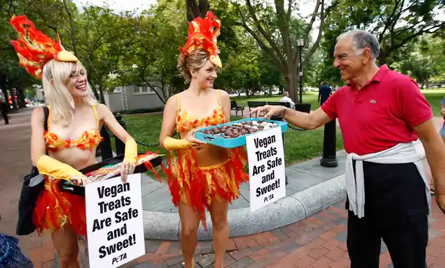 A file photo of PETA (People for the Ethical Treatment of Animals) models dressed as chickens hand out egg-free vegan cupcakes near the White House in Washington (Photo: Reuters)