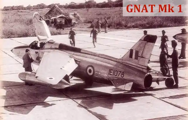 Keelor’s Gnat. (Photo Courtesy: Denzil Keelor)