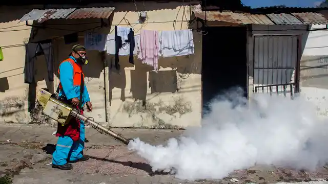 A city worker fumigates to combat the Aedes Aegypti mosquitoes that transmit the Zika virus. Image used for representation.