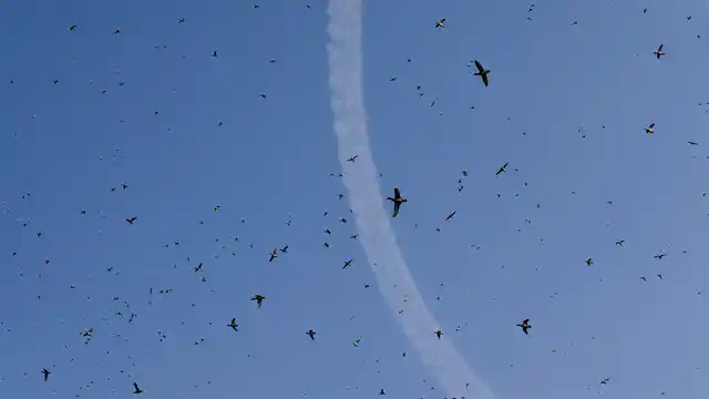Migratory birds fly above wetlands in Hokersar. (Photo: AP)