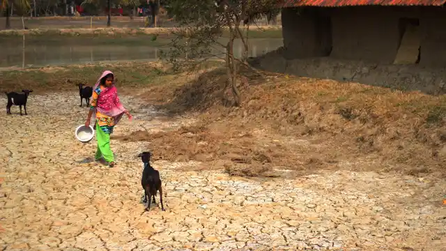 After floods, land in the Sundarbans in West Bengal becomes saturated with salt, rendering it barren. (Photo: Manon Verchot/<b>The Quint</b>)