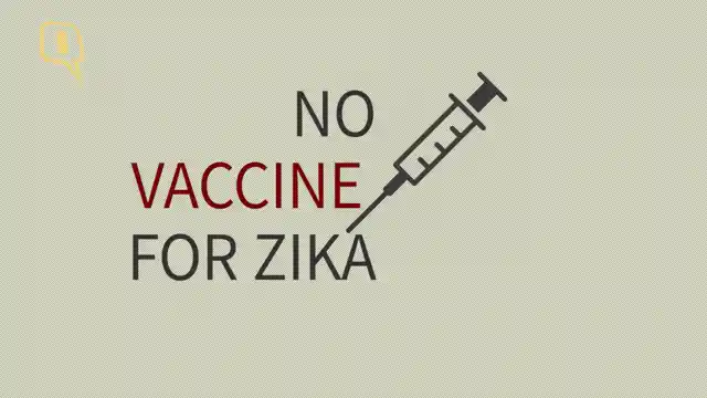 No vaccine for Zika.
