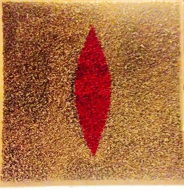 <i> The Wound II</i>. (Photo: Megha Joshi)