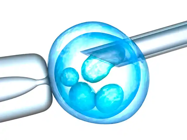 Indian public sector hospitals are not equipped to handle infertility.