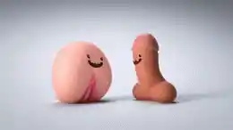 Animated vagina and penis teaching about consent 