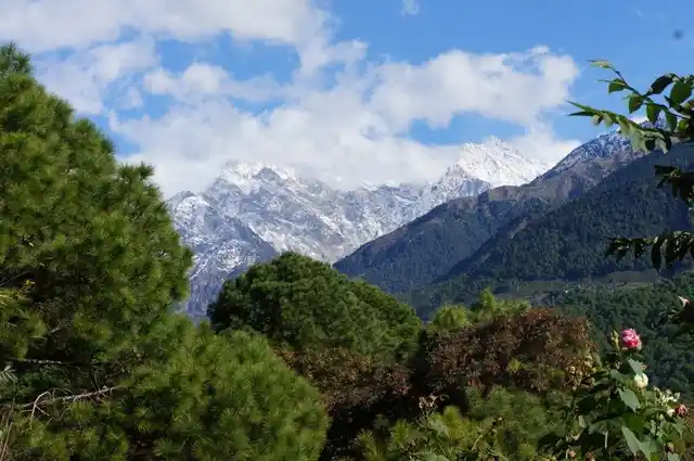 (Photo Courtesy: Facebook/<a href="https://www.facebook.com/Holiday-Home-Palampur-236224519755917/?fref=photo">Holiday Home Palampur</a>)