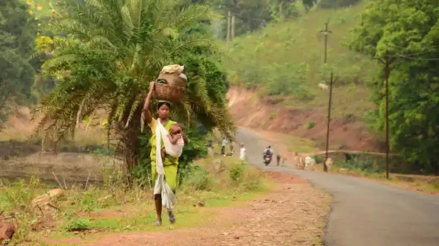 A mother belonging to Kui tribe heads to work, even as she wraps her infant child around herself. Collection of forest produce and its sale is a major livelihood activity among the tribes. (Photo Courtesy: Ankush Vengurlekar)