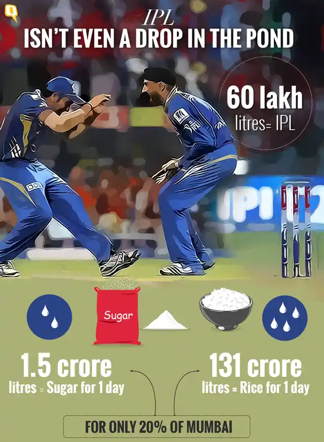 The amount of water that goes into a day’s worth of sugar and rice is way higher than the water that will be used for IPL stadiums. (Infographic: Rahul Gupta/<b>The Quint</b>)