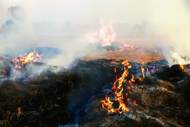 Waste-pickers don’t gain by setting the ground they walk on afire. (Photo: iStockphoto)