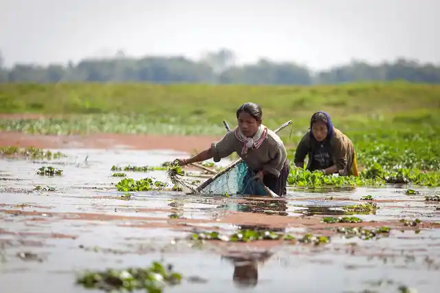 Millions of people rely on wetlands for their livelihoods. (Photo Courtesy: Flickr/<a href="https://www.flickr.com/photos/icimodgallery/">ICIMOD Kathmandu</a>)