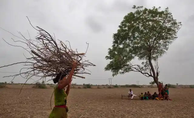 Prolonged dry spells in the Vidarbha region in Maharashtra triggered farmer suicides in the summer (Photo: AP)