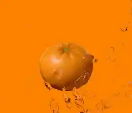 Besides giving you lots of vitamins, citrus fruits detoxify your liver which eases bloating. (Photo courtesy: Tumblr/@Powwell)